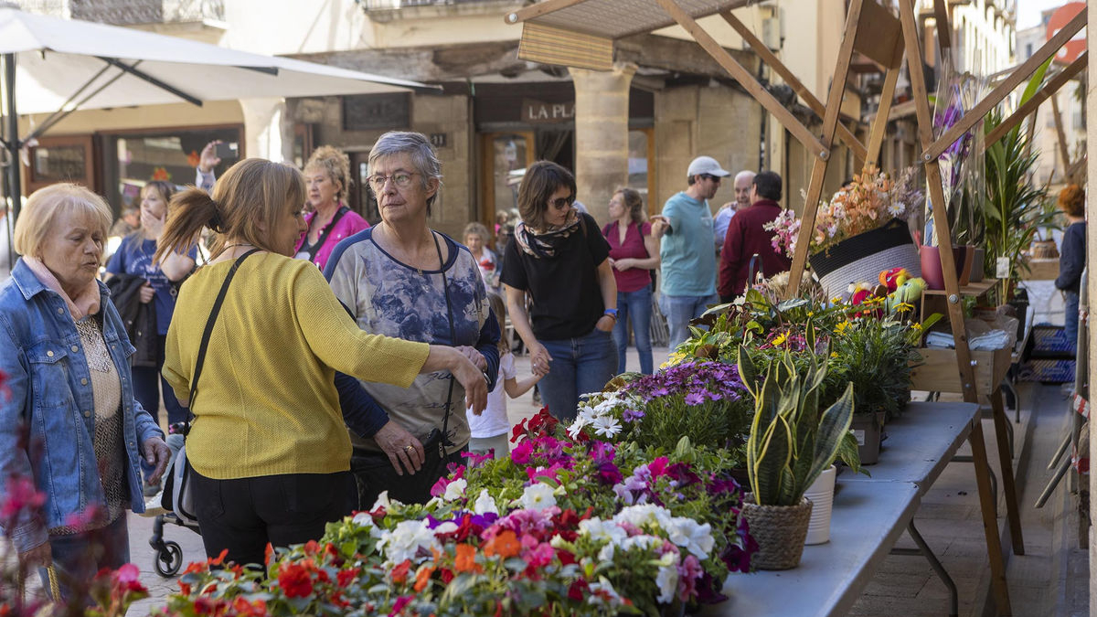El Mercat de les Flors omple la plaça Major - X.S.