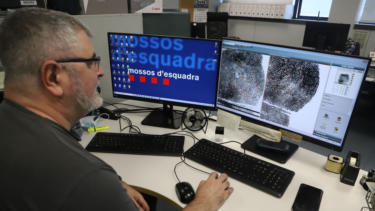 Un agent de la Policia Científica de Ponent analitza una empremta, que ha de tenir 12 punts característics per poder ser identificativa. -Magdalena Altisent