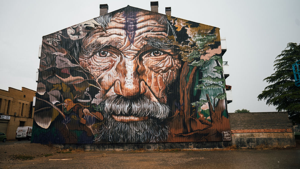 ‘L’esperit de la naturalesa’, l’espectacular mural del xilè Felipe Pincel guanyador del vuitè Torrefarrera Street Art Festival. - GERARD HOYAS