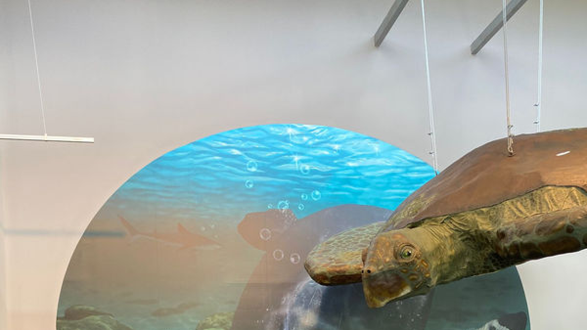 Àngel Galobart, director del Dinosfera, inauguró la exposición. - DINOSFERA