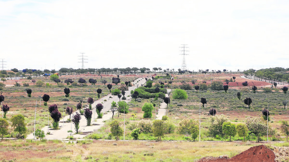 Part dels terrenys del SUR 42, Torre Salses, on Promenade impulsa un centre comercial i de lleure. - MAGDALENA ALTISENT