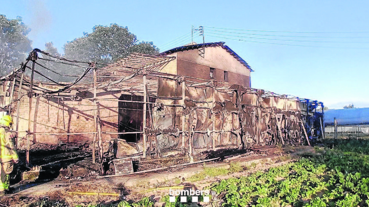 Ensorrament del sostre d'una nau per un foc a la partida Fontanet - BOMBERS DE LA GENERALITAT