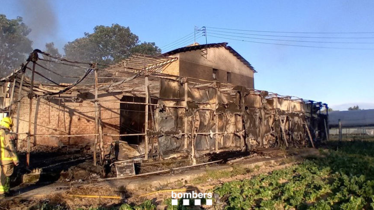 La nau afectada pel foc dimarts a la partida Fontanet. - BOMBERS DE LA GENERALITAT