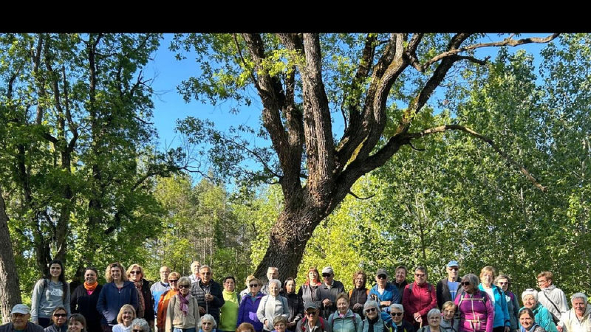 Solsona celebra la Setmana de la Gent Gran amb més de vint activitats - AJUNTAMENT DE SOLSONA