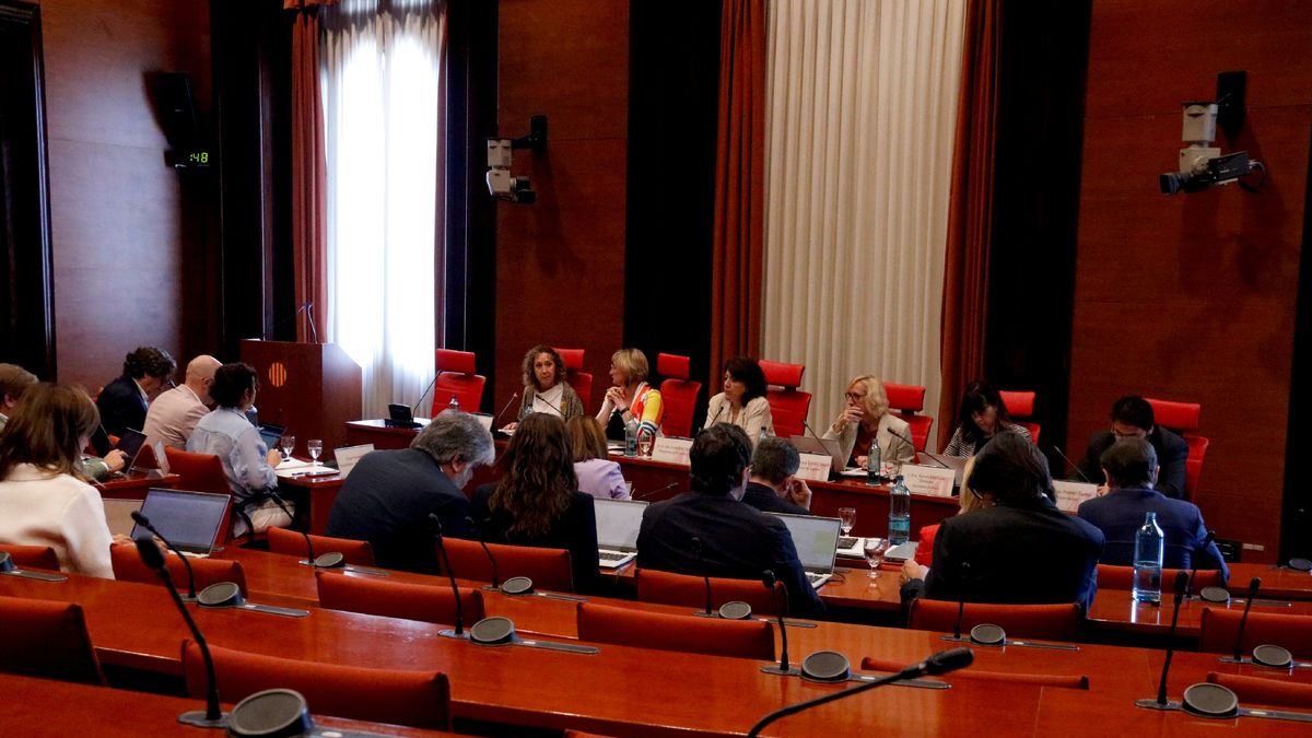 La reunió de la diputació permanent del Parlament, ahir. - ACN