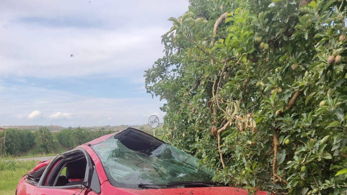 Estat en el qual va quedar el vehicle sinistrat.