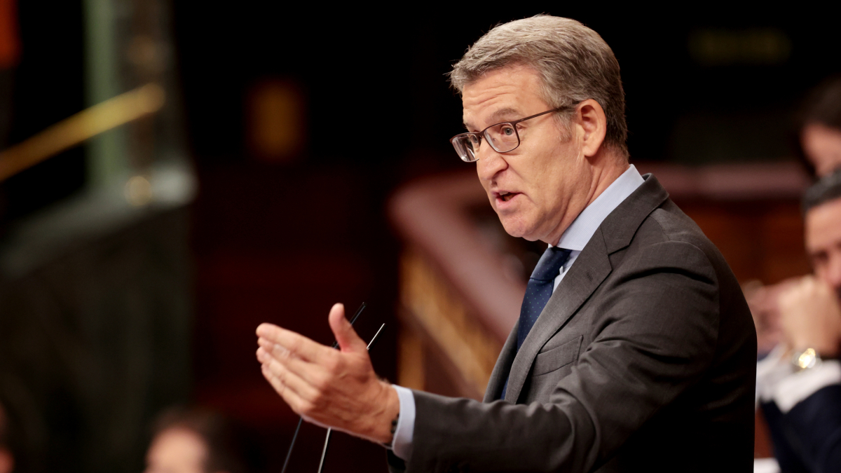 El presidente del PP, Alberto Núñez Feijóo, interviene en el debate de la ley de amnistía en el Congreso de los Diputados