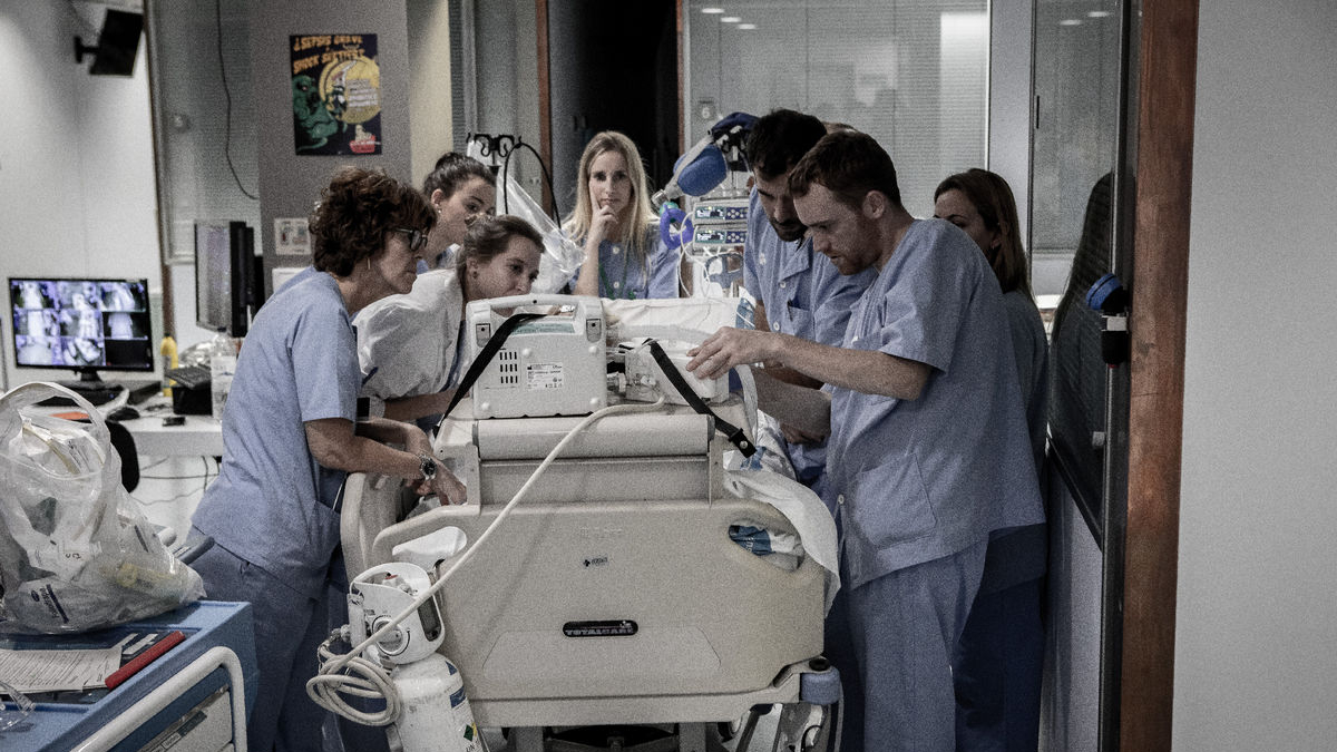 Foto de archivo de la Unidad de Trasplantes del Arnau de Vilanova. - OCATT