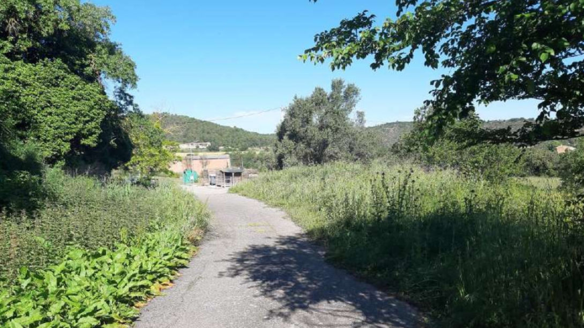 Una de las zonas donde se prevé la plantación de vegetación atractiva para las abejas. - A.S.