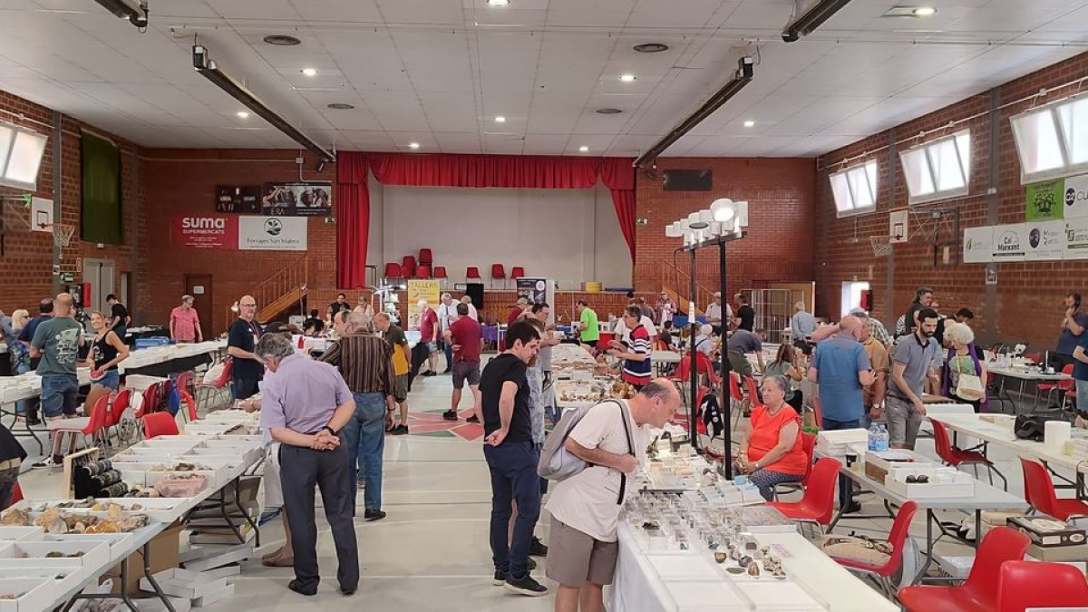 L’esdeveniment es va celebrar al pavelló poliesportiu de Vallfogona de Balaguer. - AJUNTAMENT DE VALLFOGONA DE BALAGUER