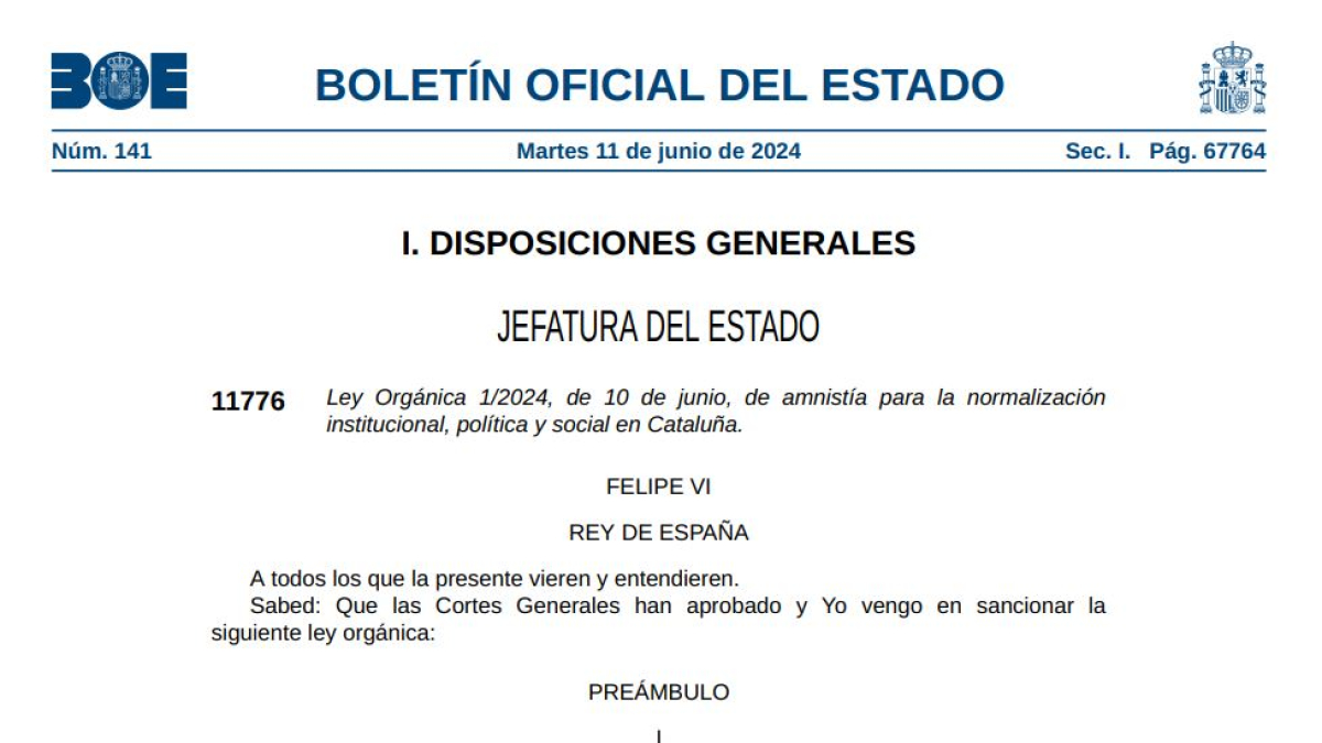 Una captura del document publicat al BOE amb la llei d'amnistia.