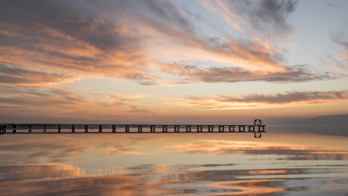 Espectaculars reflexos al costat de la passarel·la de la platja del Trabucador.