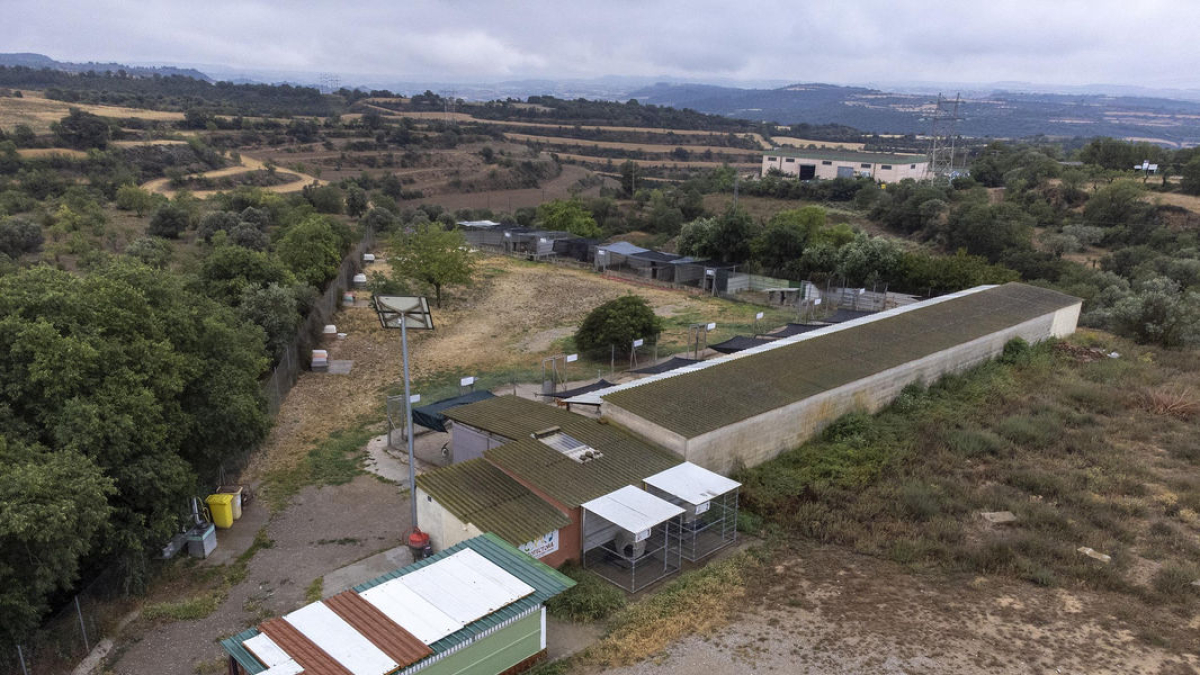 Les instal·lacions de la protectora d’animals Refugi la Segarra. - X. S.