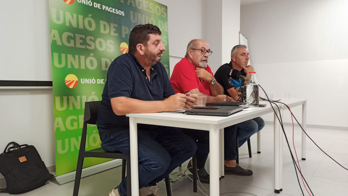 UP adverteix que “cada vegada és més difícil” trobar treballadors per a la campanya de fruita. - J. MARTÍNEZ