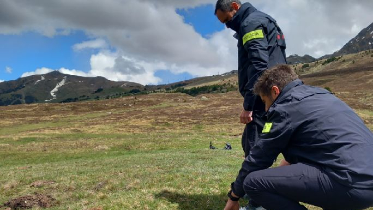 Els Mossos d'Esquadra han denunciat l'home per un delicte contra la fauna i maltractament d'una espècie protegida