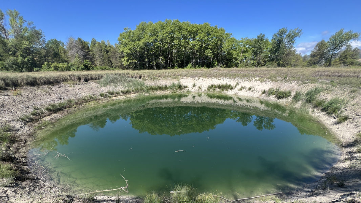 El Canal d'Urgell dona un cinquè reg al créixer les reserves per les pluges - ACN