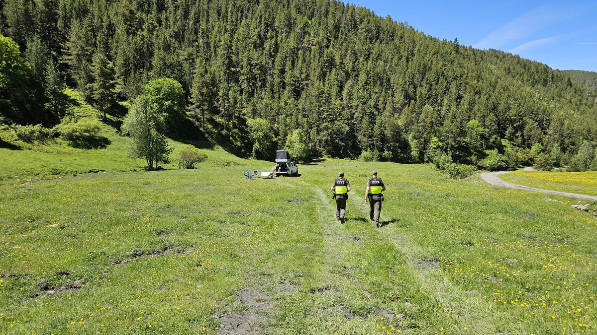 Els Rurals, en una de les actuacions a la muntanya. - PARC NATURAL DE L’ALT PIRINEU