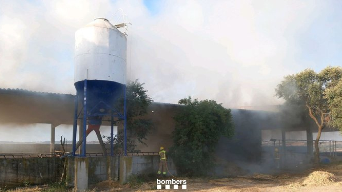 Una imatge de l'incendi en un paller en una granja d'Oliola.