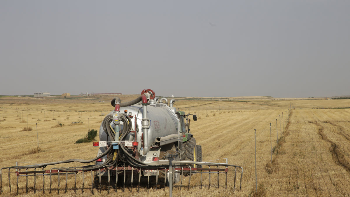 Imatge d’arxiu d’una cisterna abocant purins procedents d’una granja com a fertilitzant.