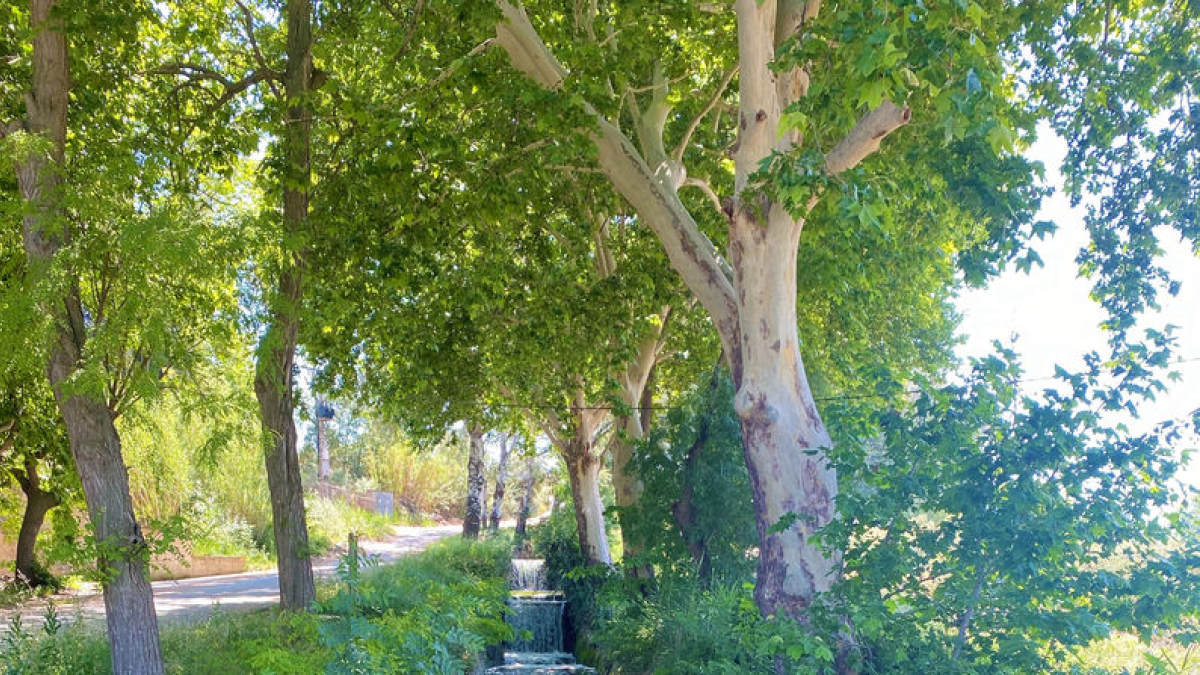 La ruta de quatre quilòmetres per la vorera del Canal d’Urgell es pot fer tot passejant, pedalant o fins i tot a cavall. - LLUÏSA PLA