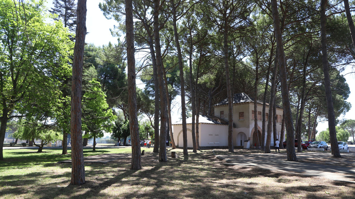 El parc de les Basses, en el qual està projectat un càmping. - MAGDALENA ALTISENT
