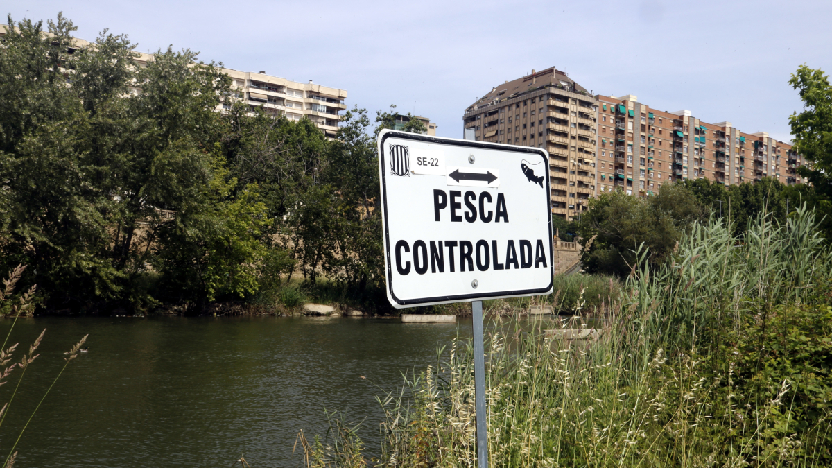 Cartell de pesca controlada al riu Segre a Lleida