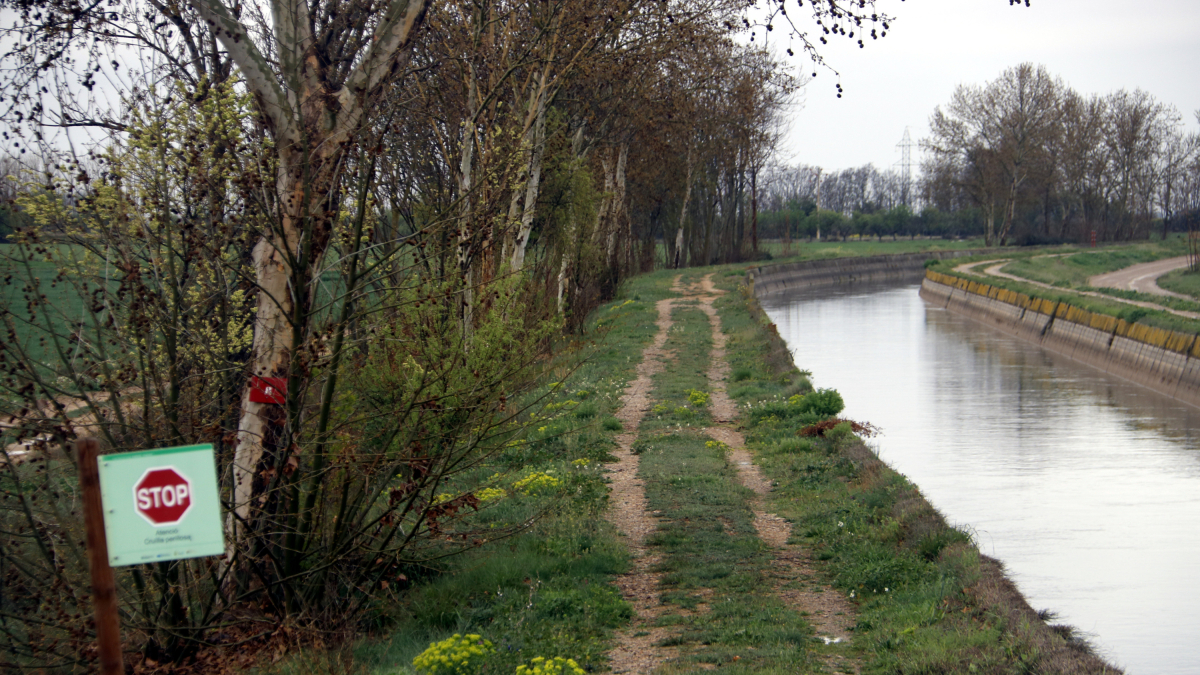 El canal d'Urgell al seu pas per Anglesola.