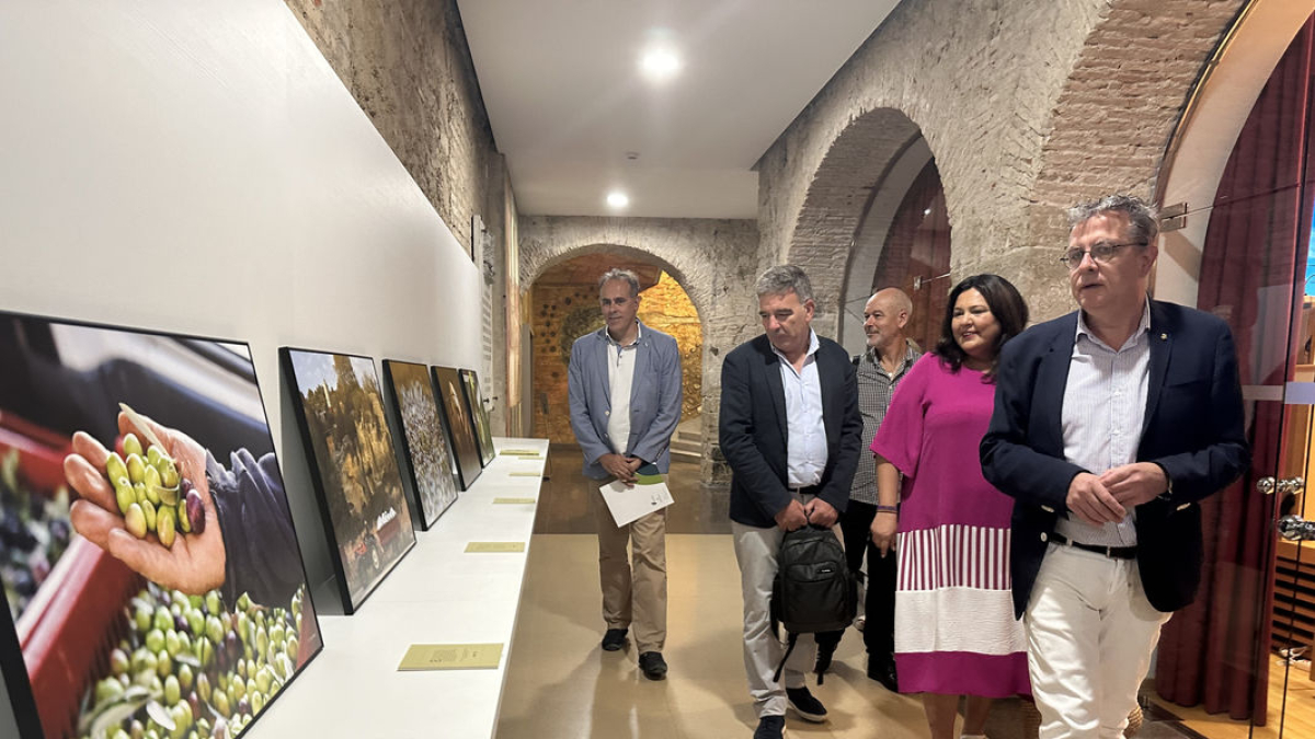 El presidente de la Diputación, Joan Talarn, enseña la sede provincial a los directivos de la Aemo. - DIPUTACIÓN DE LLEIDA