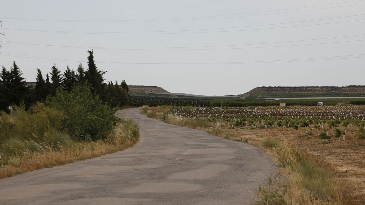 Els camins que uneixen Torres de Segre, Sunyer i Castelldans es convertiran en una carretera provincial. - AMADO FORROLLA