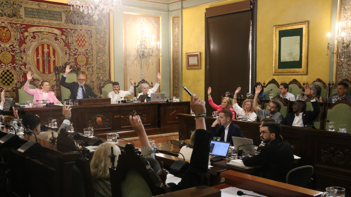 Un momento del pleno de este viernes en el Ayuntamiento de Lleida.