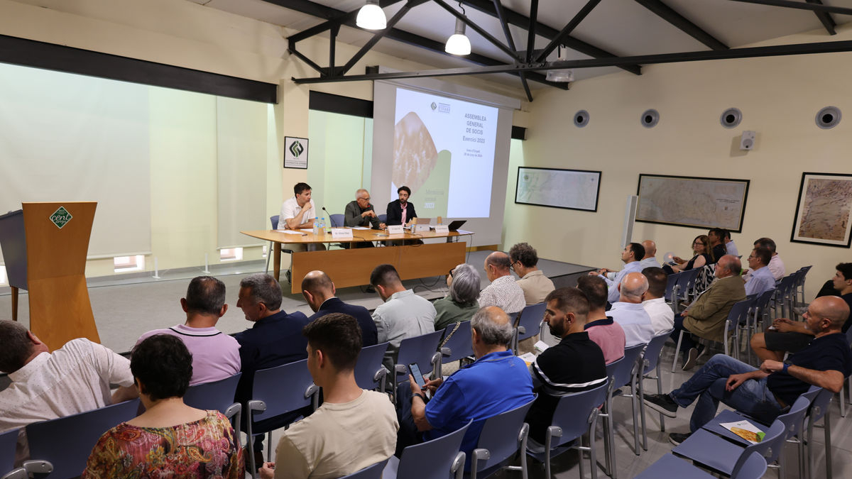 Un momento de la asamblea de socios de la Cooperativa de Ivars d’Urgell celebrada ayer. - JOAN GÓMEZ