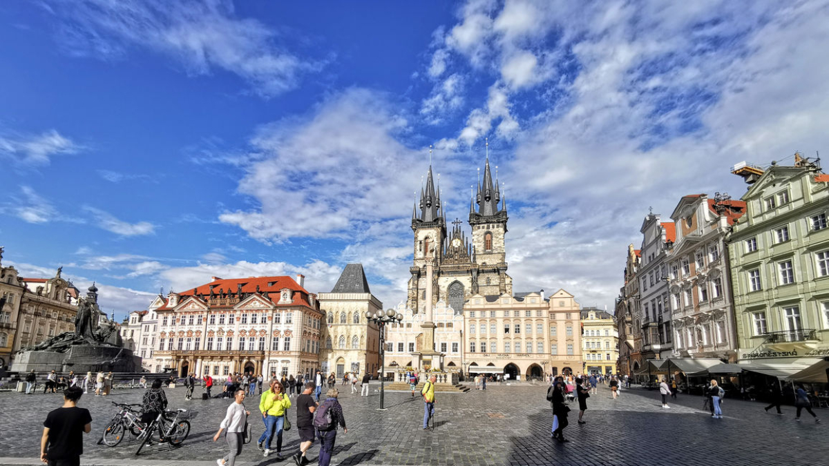 Estimada Milena - LLUÏSA PLA