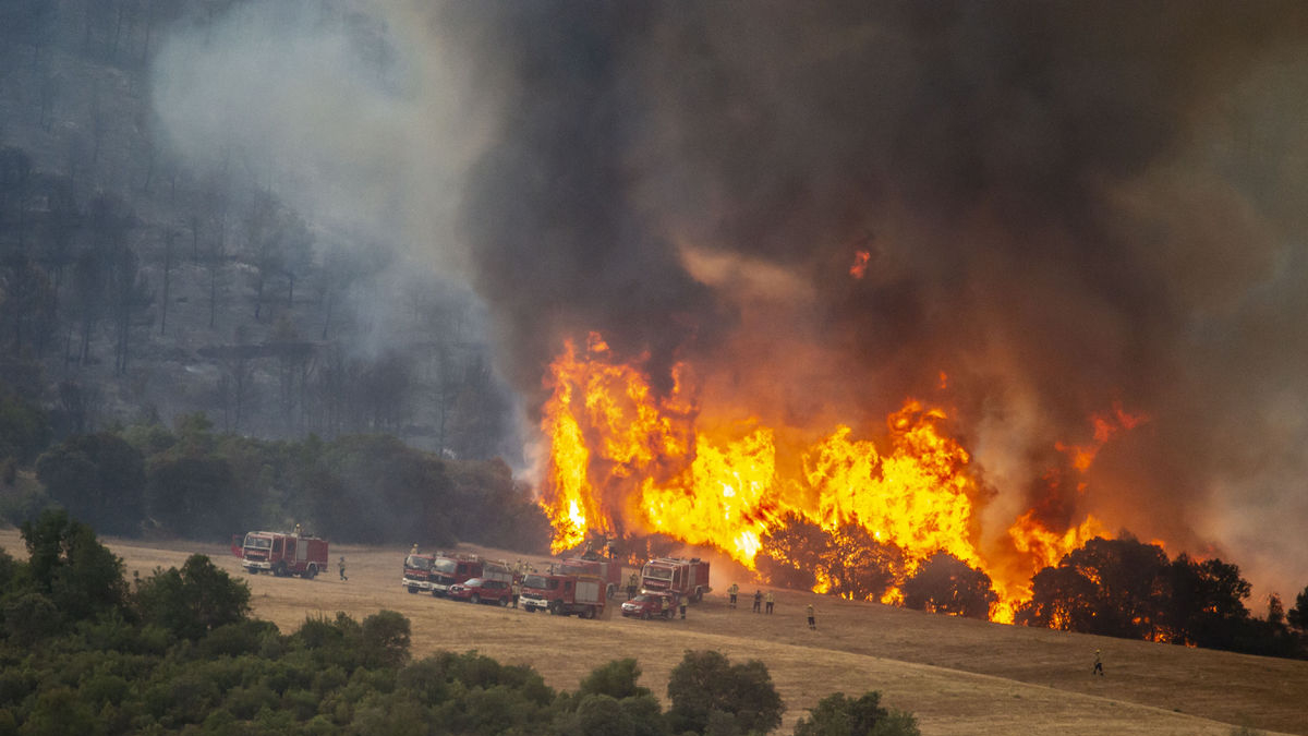 El foc de Tudela de Segre de dimarts passat i que va calcinar 11 hectàrees va ser causat per una recol·lectora. - AGENTS RURALS