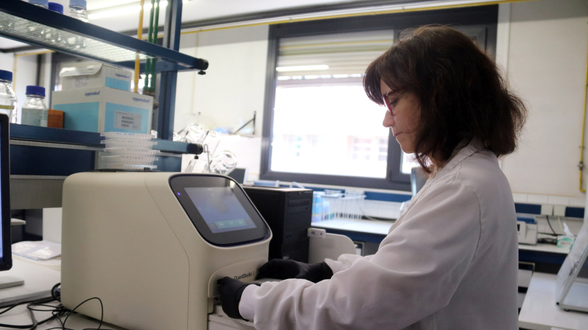 La investigadora de la Universitat de Lleida Romi Pena utilitzant la maquinària de PCR a temps real