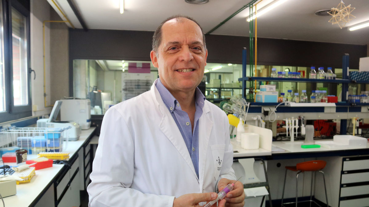 Lorenzo Fraile ha estudiado el ADN de los cerdos con Romi Peña. - ACN