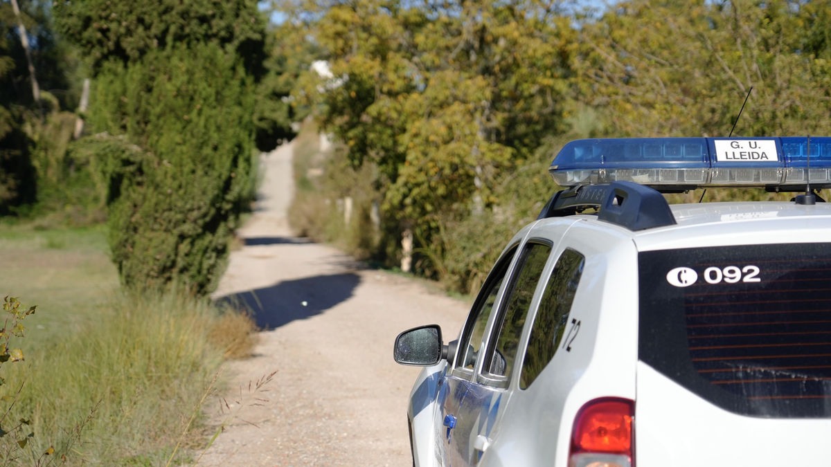 Un cotxe patrulla en un camí de l’Horta. - PAERIA