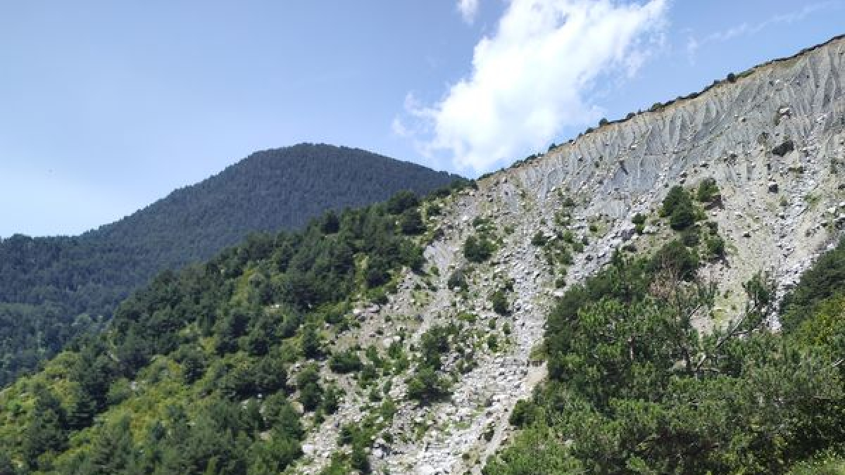 Forestal Catalana ha portat a terme les obres de contenció. - AJUNTAMENT DE LA VALL DE BOÍ