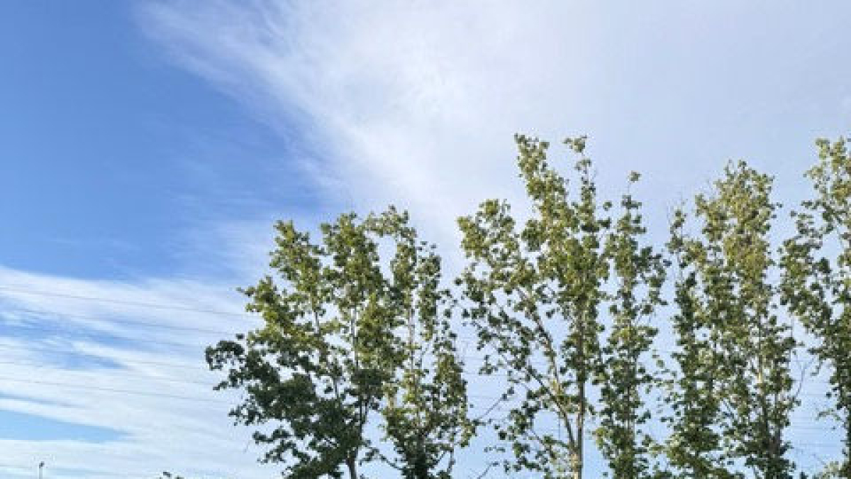Palau se ha reunido con vecinos de la avenida Artesa. - PP LLEIDA