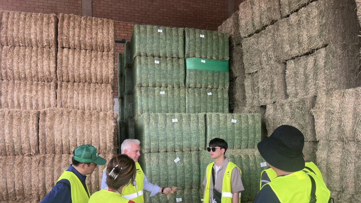 Visita a una de las empresas forrajeras por operadores coreanos. - AEFA
