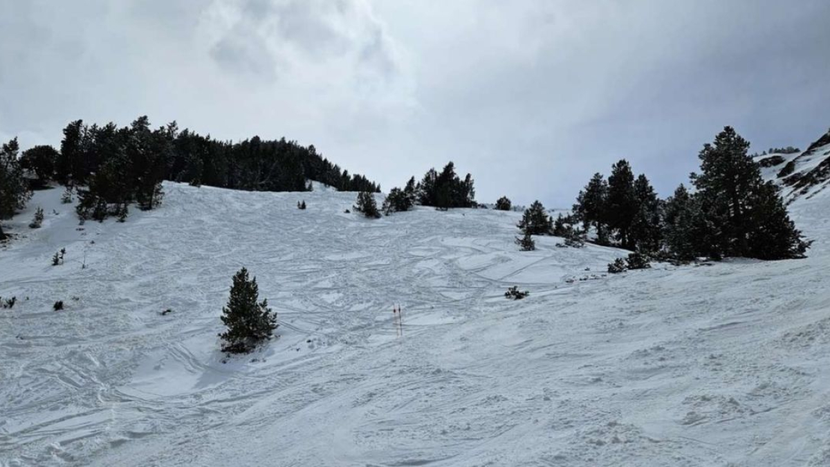 El itinerario donde se construirá la nueva pista Bosc de la Peülla II.