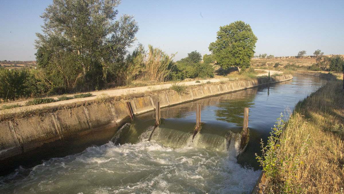 El canal principal del Urgell a la altura de Anglesola en una imagen tomada esta semana. - E.FARNELL