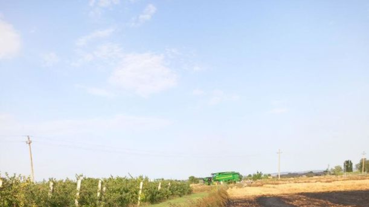 Imagen del incendio agrícola que se declaró el jueves en Bellpuig. - BOMBERS DE LA GENERALITAT