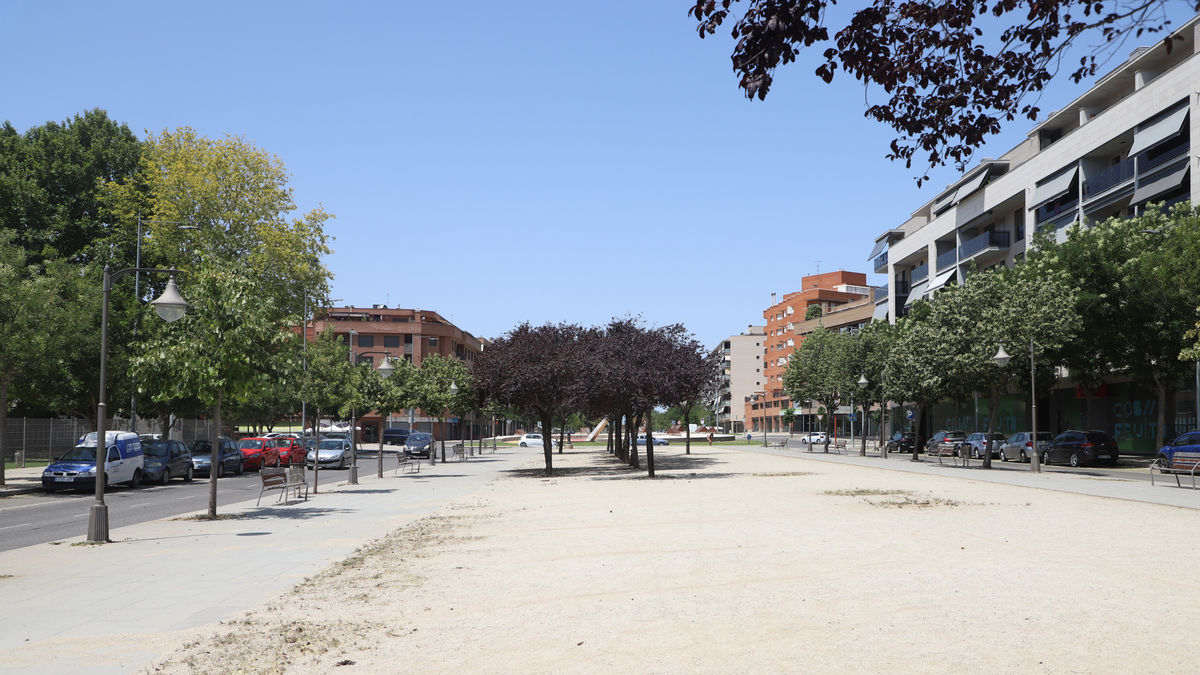 Orvepard demana més arbres en aquest tram de Corregidor Escofet. - MAGDALENA ALTISENT