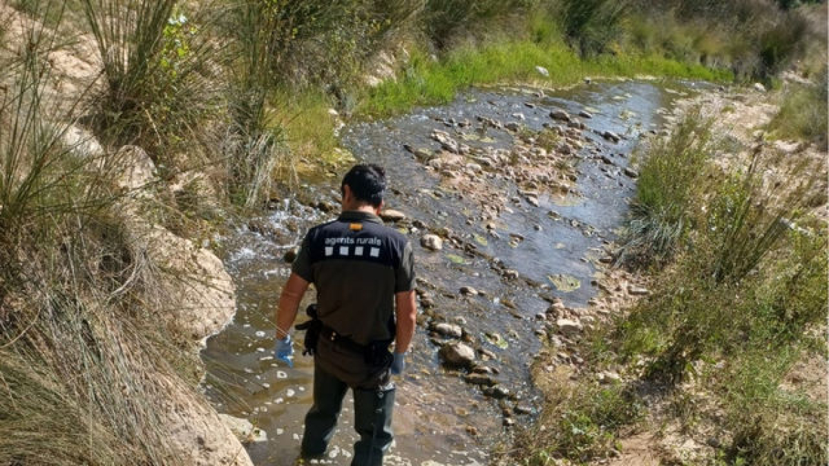 Un agent rural investigant l’abocament. - AGENTS RURALS
