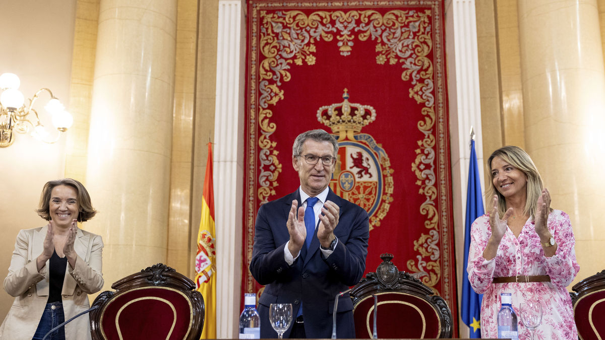 Feijóo va presidir la reunió dels grups del PP al Senat. - EFE/ DANIEL GONZÁLEZ