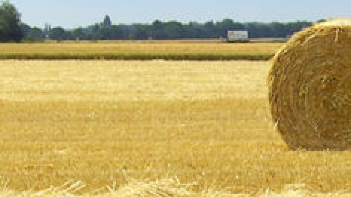 Lleida cierra el segundo trimestre con una reducción de 3.000 parados, según la EPA - SEGRE