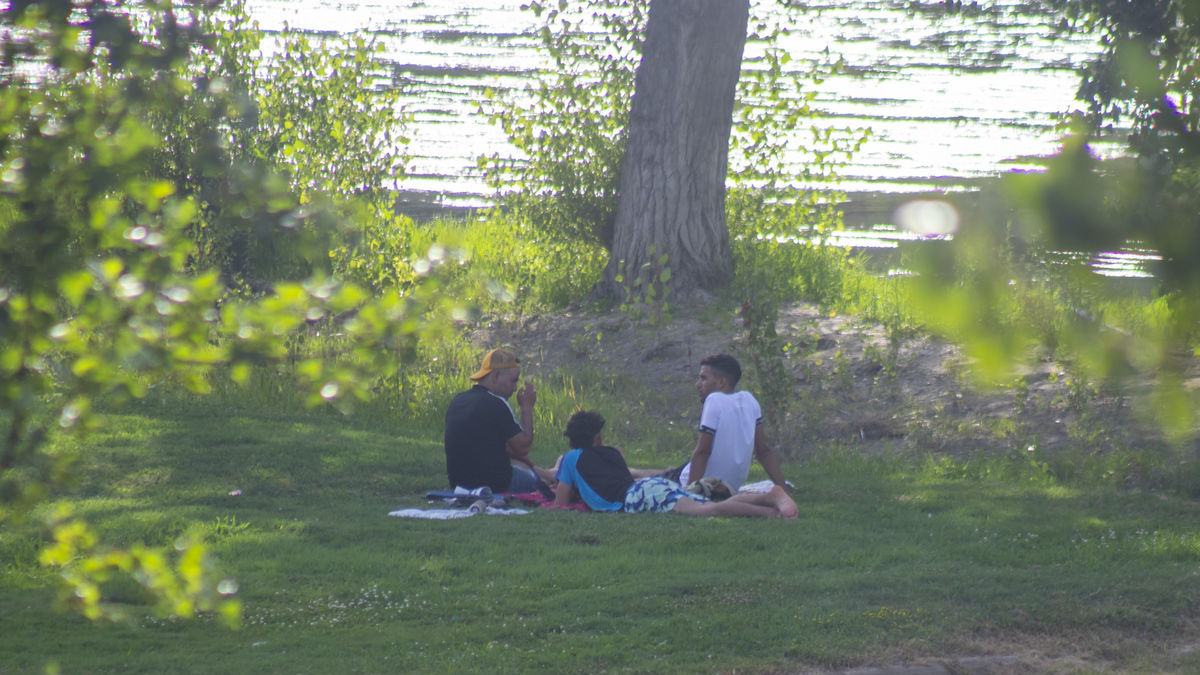 Jóvenes se protegen del calor bajo la sombra de los árboles. - GERARD HOYAS