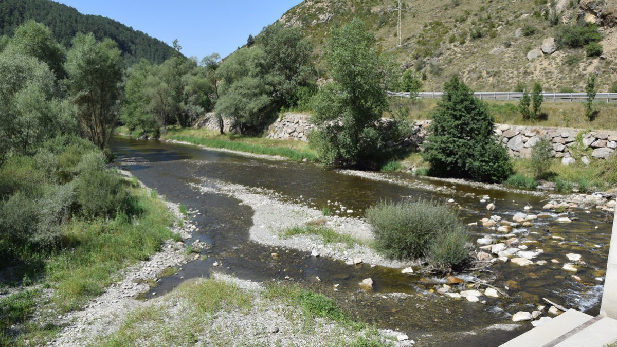 Este aspecto presentaba ayer po la mañana el río Segre a la altura de Isòvol en el Alt Urgell. - C. SANS