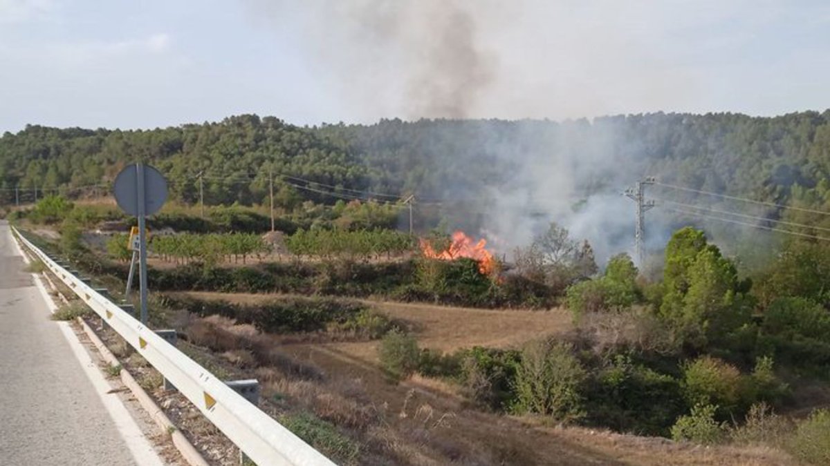Incendio de vegetación al margen de la LV-2012 en Fulleda.