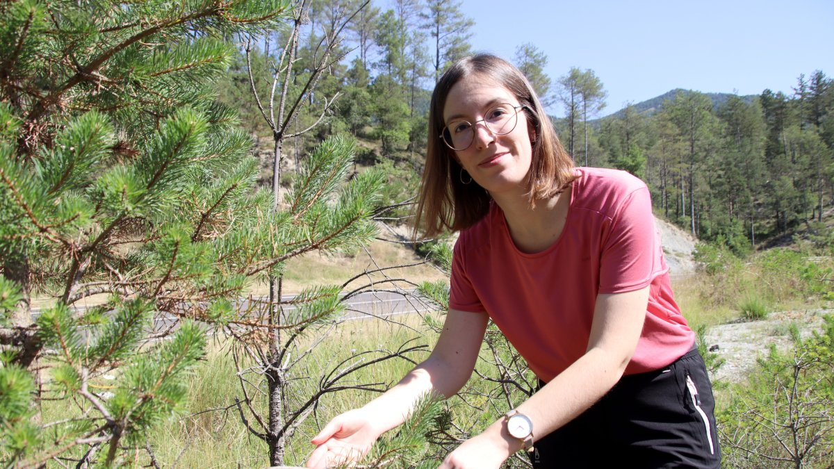 La investigadora con uno de los ejemplares afectados.
